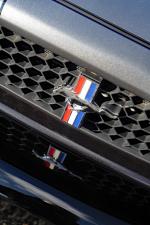 Ford Mustang Boss 302 Laguna Seca 2013 года